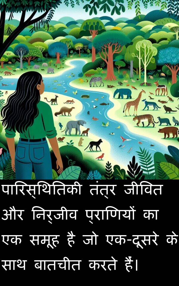 समूह: पारिस्थितिकी तंत्र जीवित और निर्जीव प्राणियों का एक समूह है जो एक-दूसरे के साथ बातचीत करते हैं।