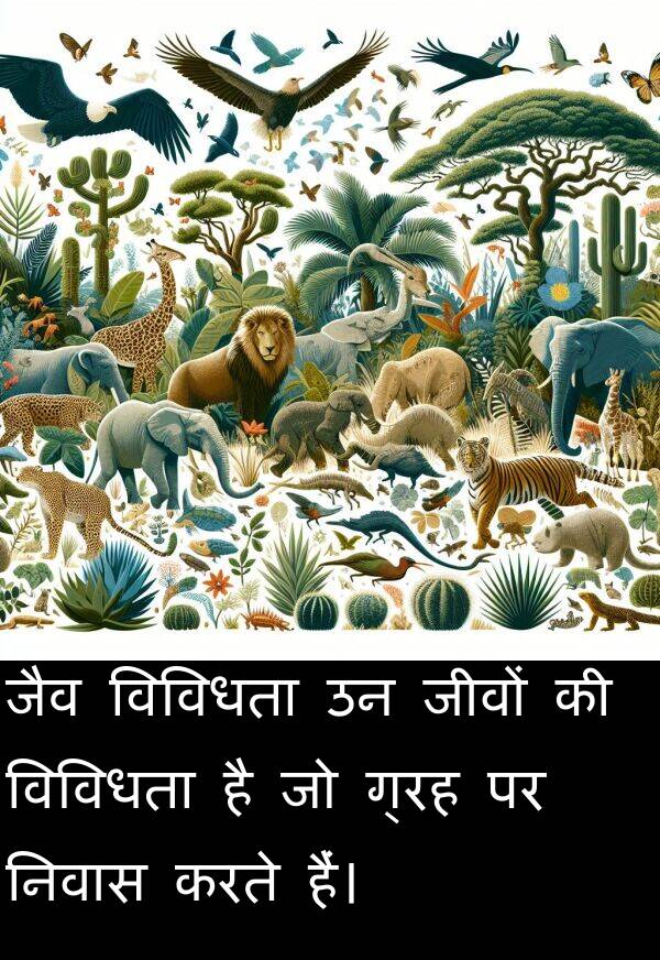 निवास: जैव विविधता उन जीवों की विविधता है जो ग्रह पर निवास करते हैं।
