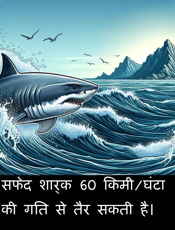 तैर: सफेद शार्क 60 किमी/घंटा की गति से तैर सकती है।