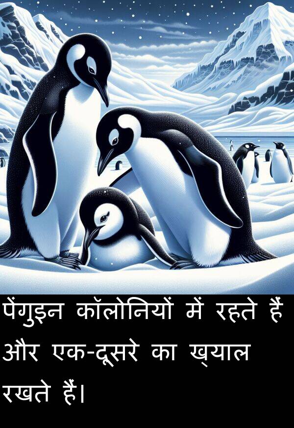 रहते: पेंगुइन कॉलोनियों में रहते हैं और एक-दूसरे का ख्याल रखते हैं।