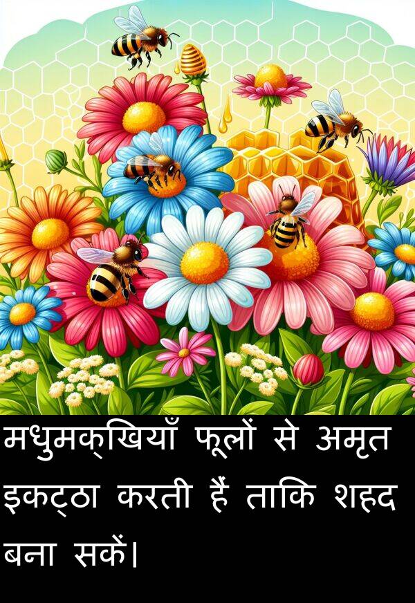 फूलों: मधुमक्खियाँ फूलों से अमृत इकट्ठा करती हैं ताकि शहद बना सकें।