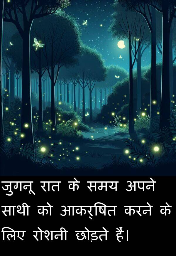 छोड़ते: जुगनू रात के समय अपने साथी को आकर्षित करने के लिए रोशनी छोड़ते हैं।