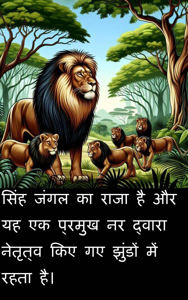 नेतृत्व: सिंह जंगल का राजा है और यह एक प्रमुख नर द्वारा नेतृत्व किए गए झुंडों में रहता है।