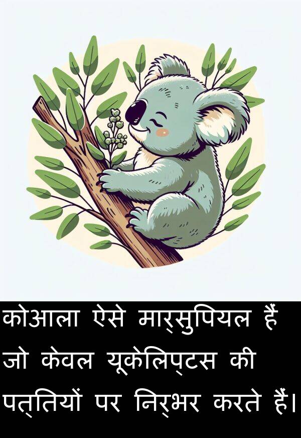 पत्तियों: कोआला ऐसे मार्सुपियल हैं जो केवल यूकेलिप्टस की पत्तियों पर निर्भर करते हैं।