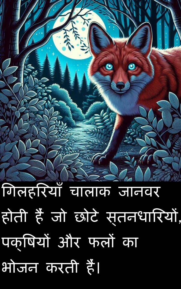 छोटे: गिलहरियाँ चालाक जानवर होती हैं जो छोटे स्तनधारियों, पक्षियों और फलों का भोजन करती हैं।