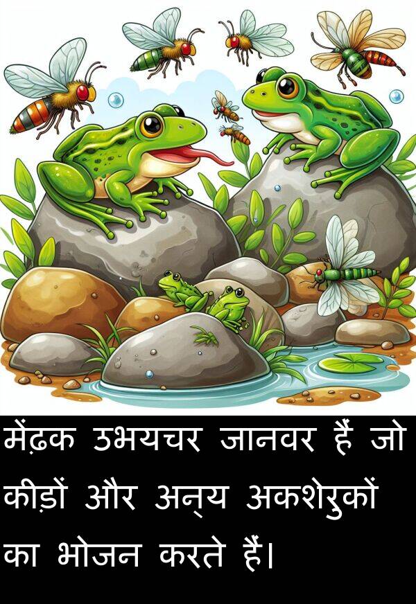 उभयचर: मेंढ़क उभयचर जानवर हैं जो कीड़ों और अन्य अकशेरुकों का भोजन करते हैं।