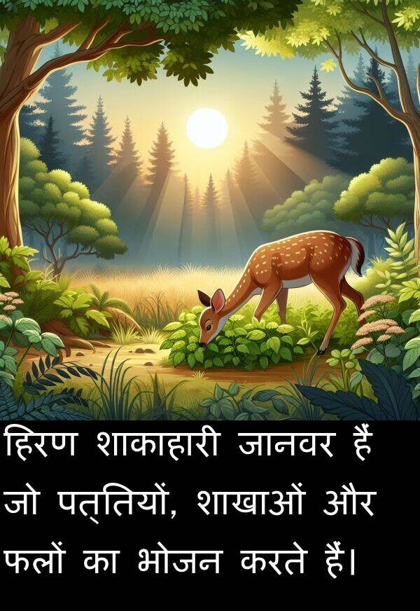 पत्तियों: हिरण शाकाहारी जानवर हैं जो पत्तियों, शाखाओं और फलों का भोजन करते हैं।