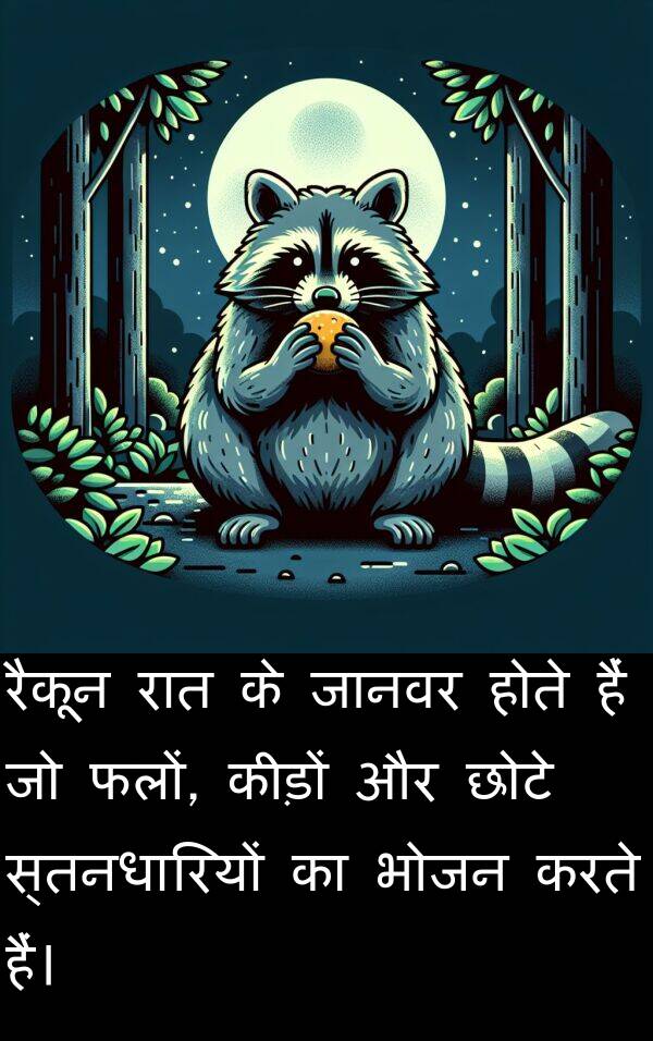 छोटे: रैकून रात के जानवर होते हैं जो फलों, कीड़ों और छोटे स्तनधारियों का भोजन करते हैं।