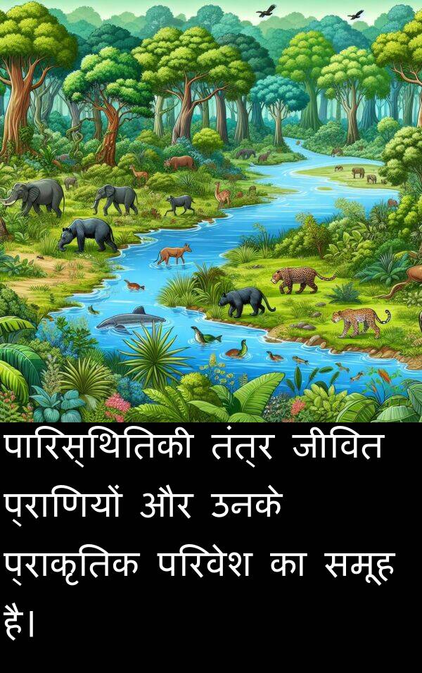 परिवेश: पारिस्थितिकी तंत्र जीवित प्राणियों और उनके प्राकृतिक परिवेश का समूह है।