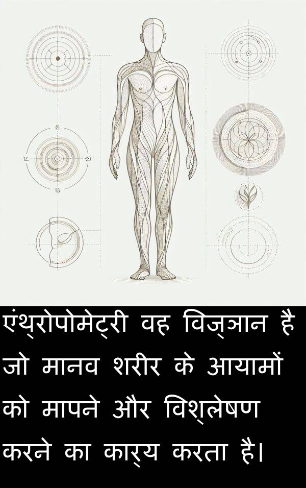 विज्ञान: एंथ्रोपोमेट्री वह विज्ञान है जो मानव शरीर के आयामों को मापने और विश्लेषण करने का कार्य करता है।