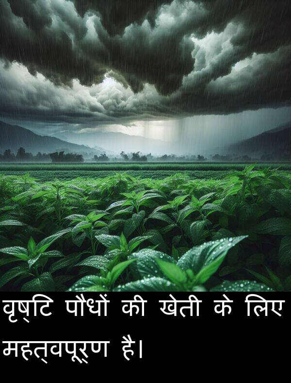लिए: वृष्टि पौधों की खेती के लिए महत्वपूर्ण है।
