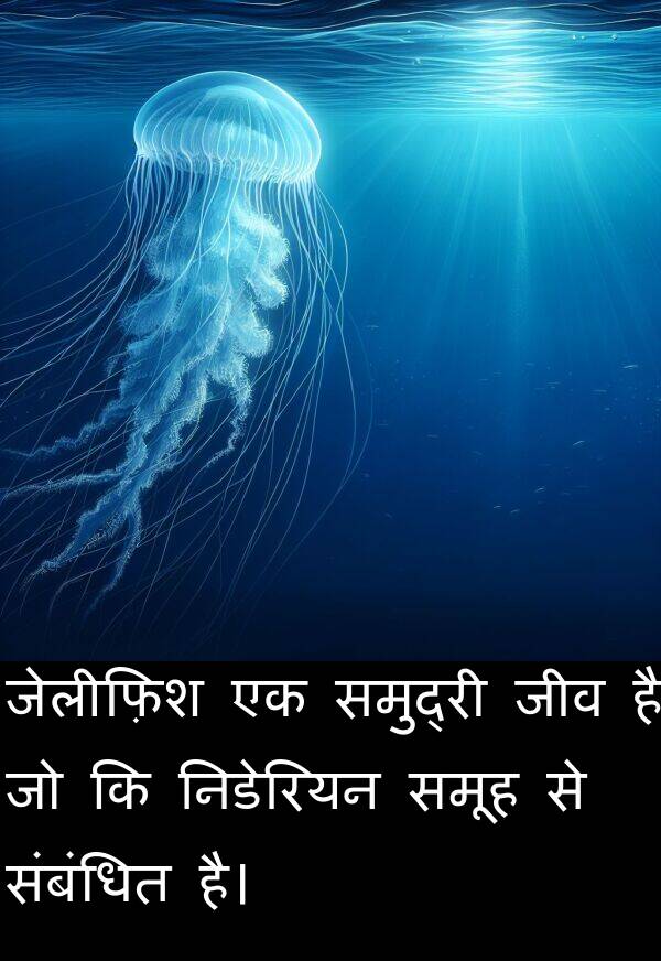 समूह: जेलीफ़िश एक समुद्री जीव है जो कि निडेरियन समूह से संबंधित है।