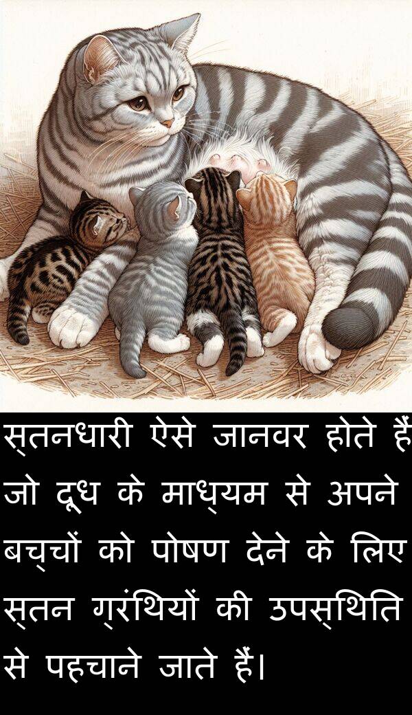 उपस्थिति: स्तनधारी ऐसे जानवर होते हैं जो दूध के माध्यम से अपने बच्चों को पोषण देने के लिए स्तन ग्रंथियों की उपस्थिति से पहचाने जाते हैं।