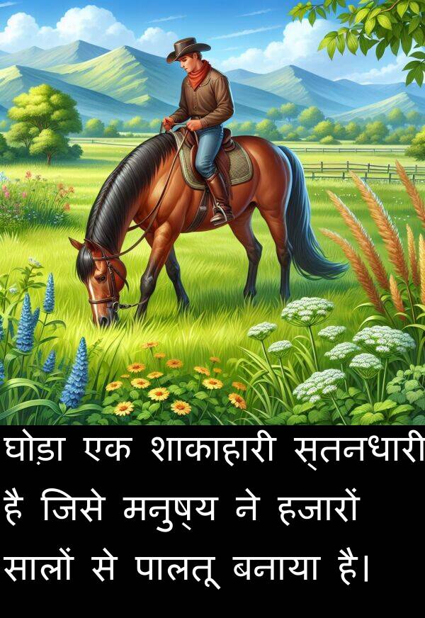 मनुष्य: घोड़ा एक शाकाहारी स्तनधारी है जिसे मनुष्य ने हजारों सालों से पालतू बनाया है।