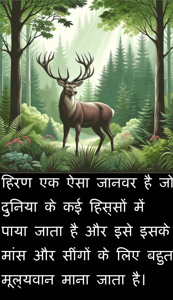 मांस: हिरण एक ऐसा जानवर है जो दुनिया के कई हिस्सों में पाया जाता है और इसे इसके मांस और सींगों के लिए बहुत मूल्यवान माना जाता है।