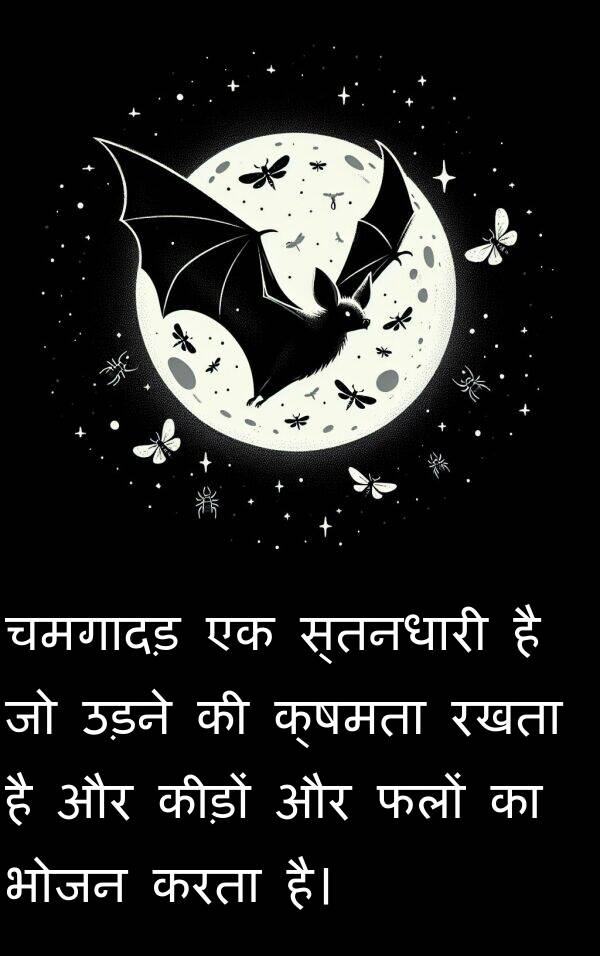 उड़ने: चमगादड़ एक स्तनधारी है जो उड़ने की क्षमता रखता है और कीड़ों और फलों का भोजन करता है।