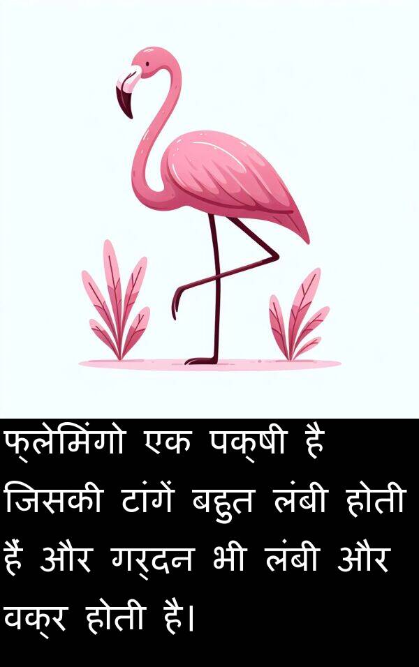 वक्र: फ्लेमिंगो एक पक्षी है जिसकी टांगें बहुत लंबी होती हैं और गर्दन भी लंबी और वक्र होती है।