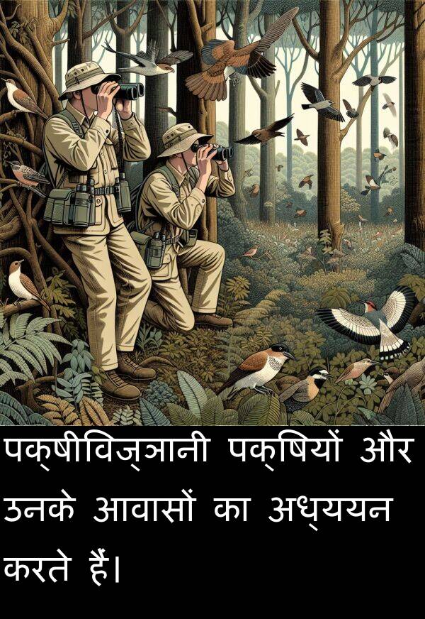 आवासों: पक्षीविज्ञानी पक्षियों और उनके आवासों का अध्ययन करते हैं।