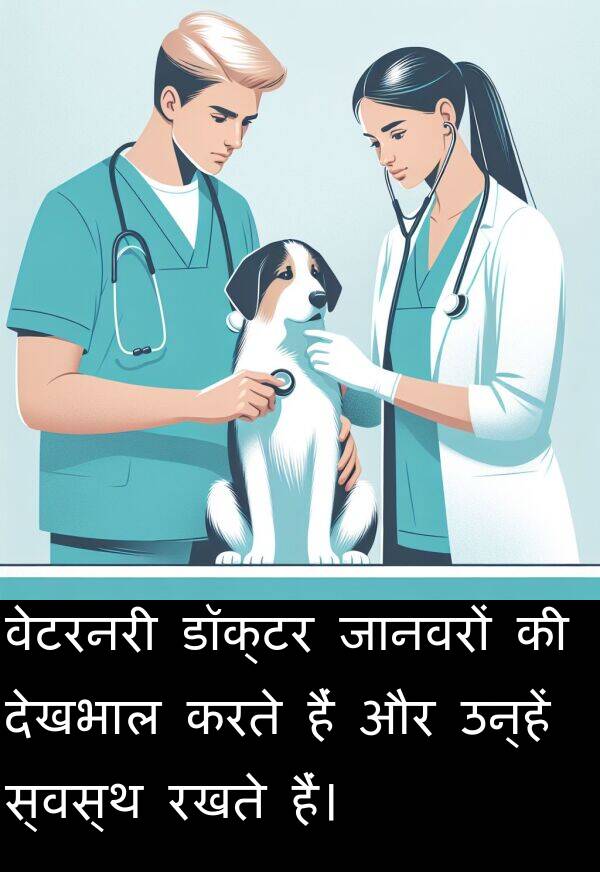 वेटरनरी: वेटरनरी डॉक्टर जानवरों की देखभाल करते हैं और उन्हें स्वस्थ रखते हैं।