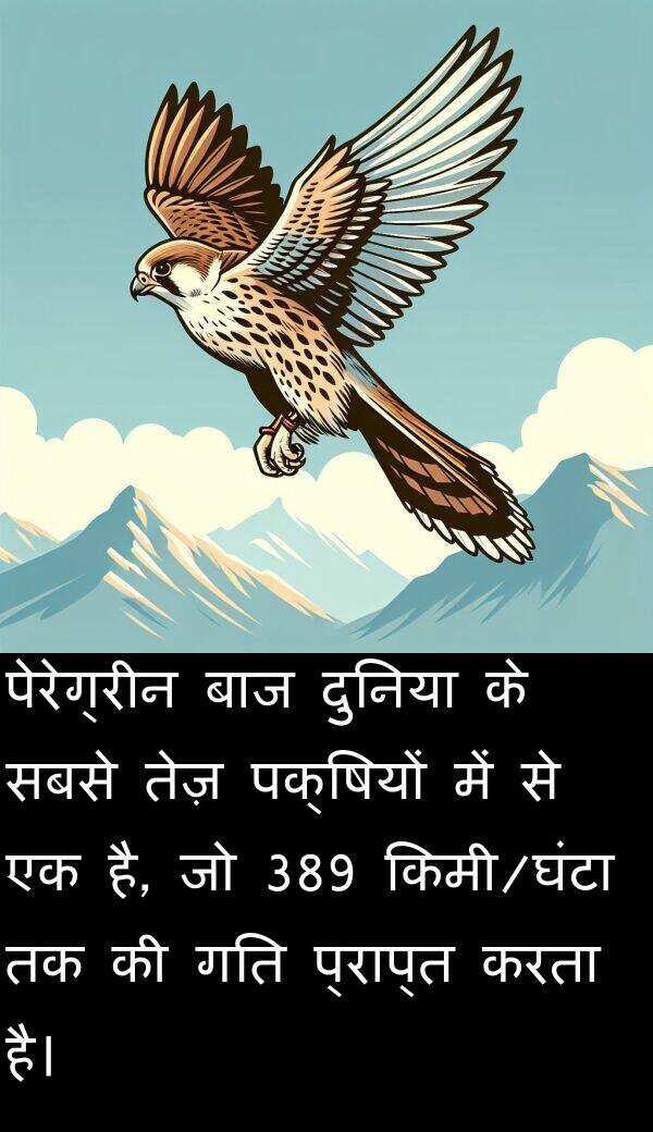 पक्षियों: पेरेग्रीन बाज दुनिया के सबसे तेज़ पक्षियों में से एक है, जो 389 किमी/घंटा तक की गति प्राप्त करता है।