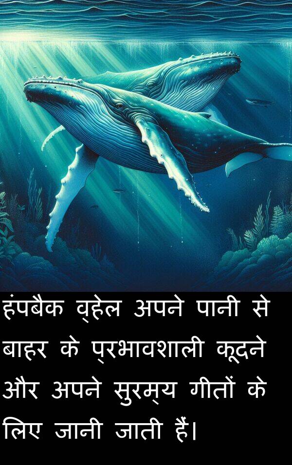 बाहर: हंपबैक व्हेल अपने पानी से बाहर के प्रभावशाली कूदने और अपने सुरम्य गीतों के लिए जानी जाती हैं।