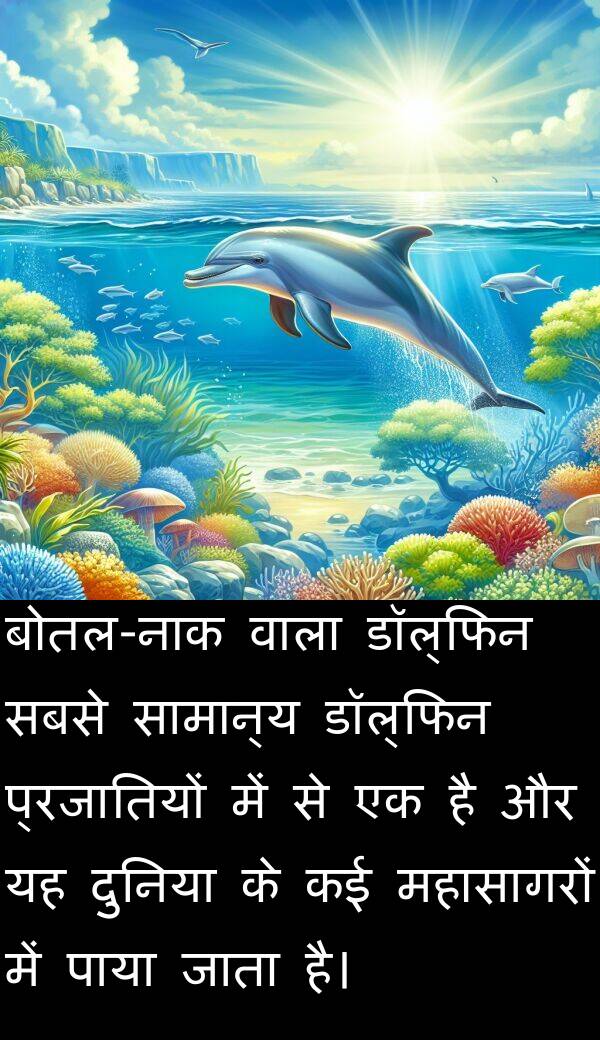 महासागरों: बोतल-नाक वाला डॉल्फिन सबसे सामान्य डॉल्फिन प्रजातियों में से एक है और यह दुनिया के कई महासागरों में पाया जाता है।