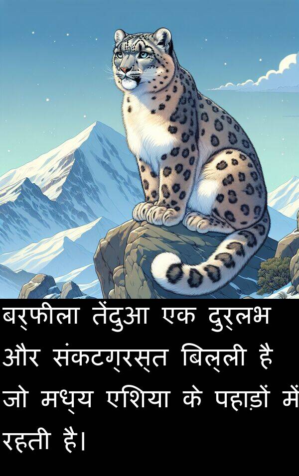 पहाड़ों: बर्फीला तेंदुआ एक दुर्लभ और संकटग्रस्त बिल्ली है जो मध्य एशिया के पहाड़ों में रहती है।
