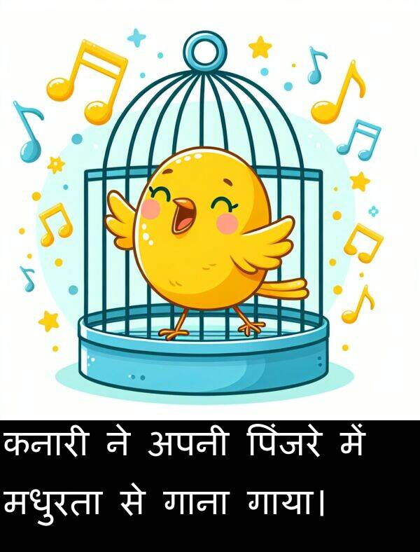 पिंजरे: कनारी ने अपनी पिंजरे में मधुरता से गाना गाया।