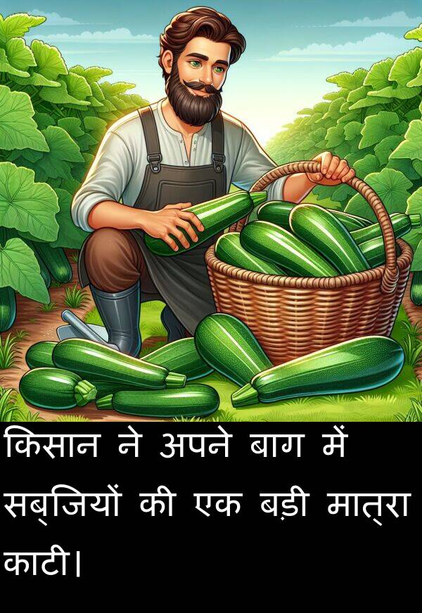 सब्जियों: किसान ने अपने बाग में सब्जियों की एक बड़ी मात्रा काटी।