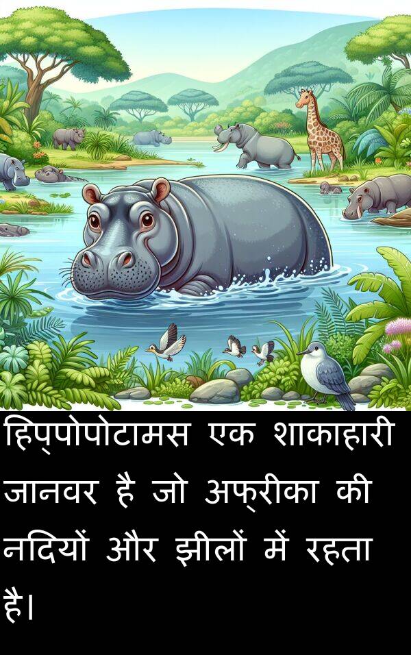 अफ्रीका: हिप्पोपोटामस एक शाकाहारी जानवर है जो अफ्रीका की नदियों और झीलों में रहता है।