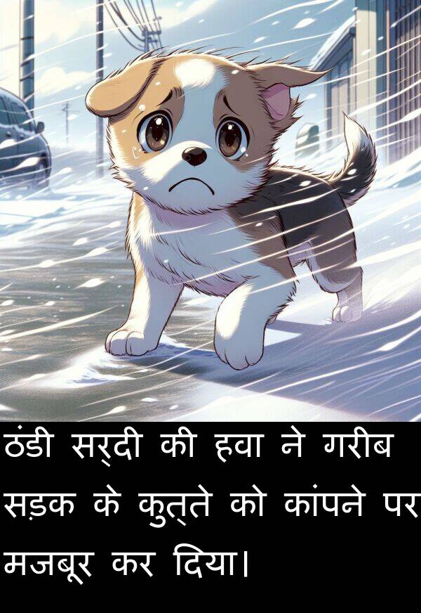 सड़क: ठंडी सर्दी की हवा ने गरीब सड़क के कुत्ते को कांपने पर मजबूर कर दिया।