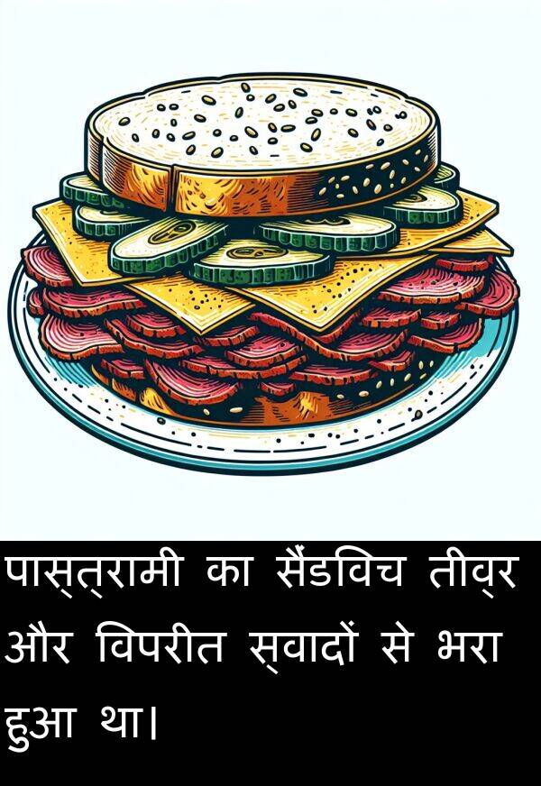 भरा: पास्त्रामी का सैंडविच तीव्र और विपरीत स्वादों से भरा हुआ था।