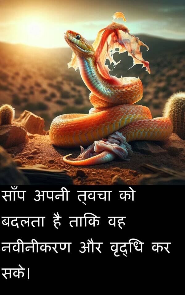 त्वचा: साँप अपनी त्वचा को बदलता है ताकि वह नवीनीकरण और वृद्धि कर सके।