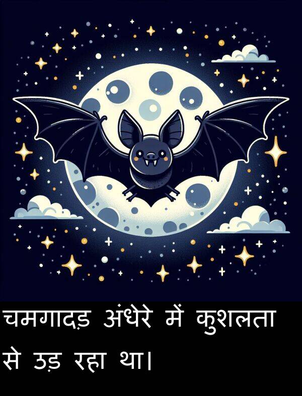 उड़: चमगादड़ अंधेरे में कुशलता से उड़ रहा था।