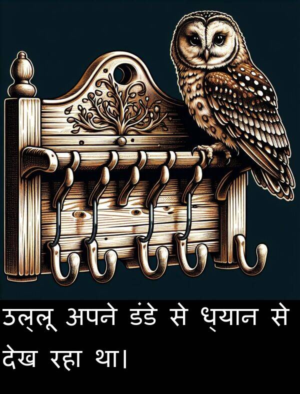 ध्यान: उल्लू अपने डंडे से ध्यान से देख रहा था।