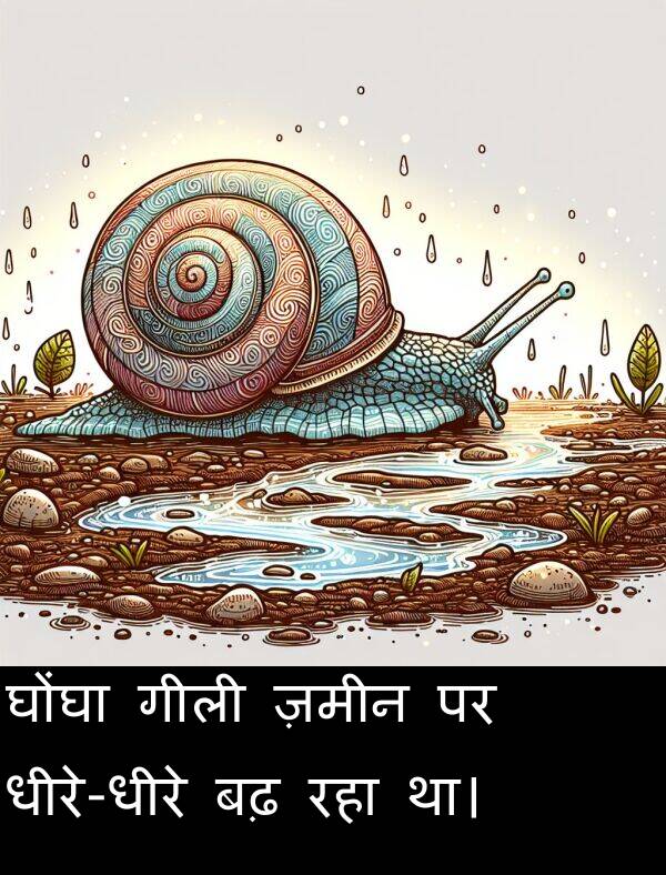 घोंघा: घोंघा गीली ज़मीन पर धीरे-धीरे बढ़ रहा था।