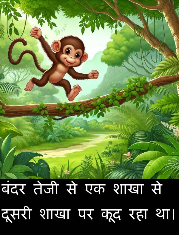 बंदर: बंदर तेजी से एक शाखा से दूसरी शाखा पर कूद रहा था।