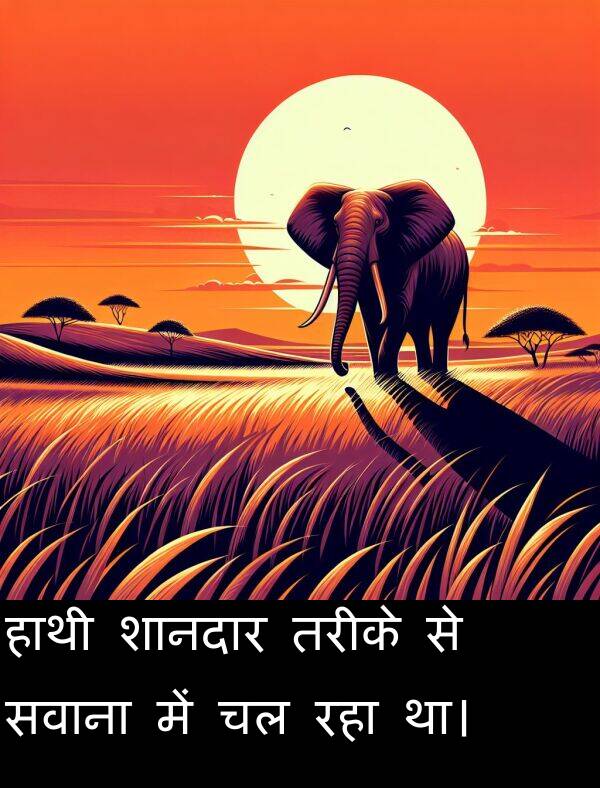 तरीके: हाथी शानदार तरीके से सवाना में चल रहा था।