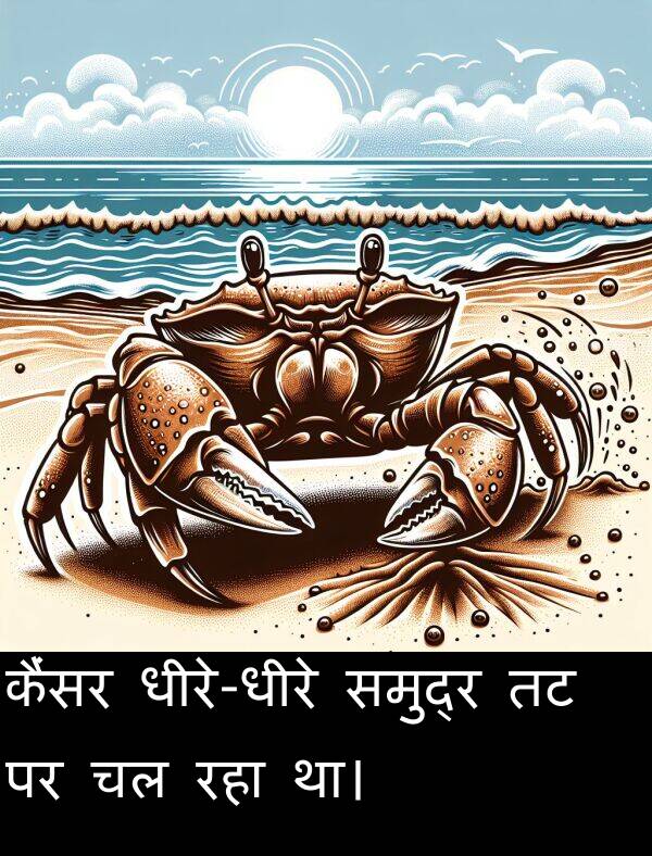 रहा: कैंसर धीरे-धीरे समुद्र तट पर चल रहा था।