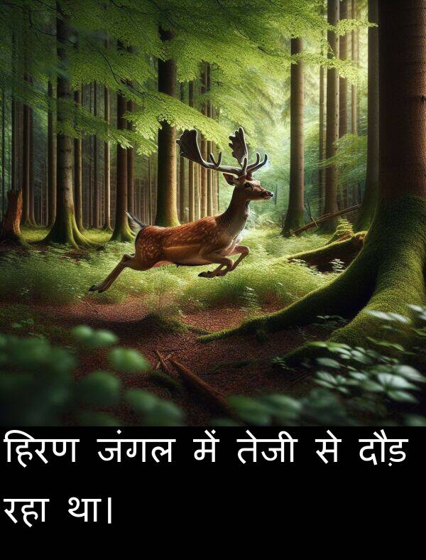 हिरण: हिरण जंगल में तेजी से दौड़ रहा था।
