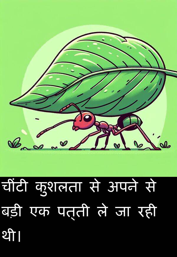 पत्ती: चींटी कुशलता से अपने से बड़ी एक पत्ती ले जा रही थी।