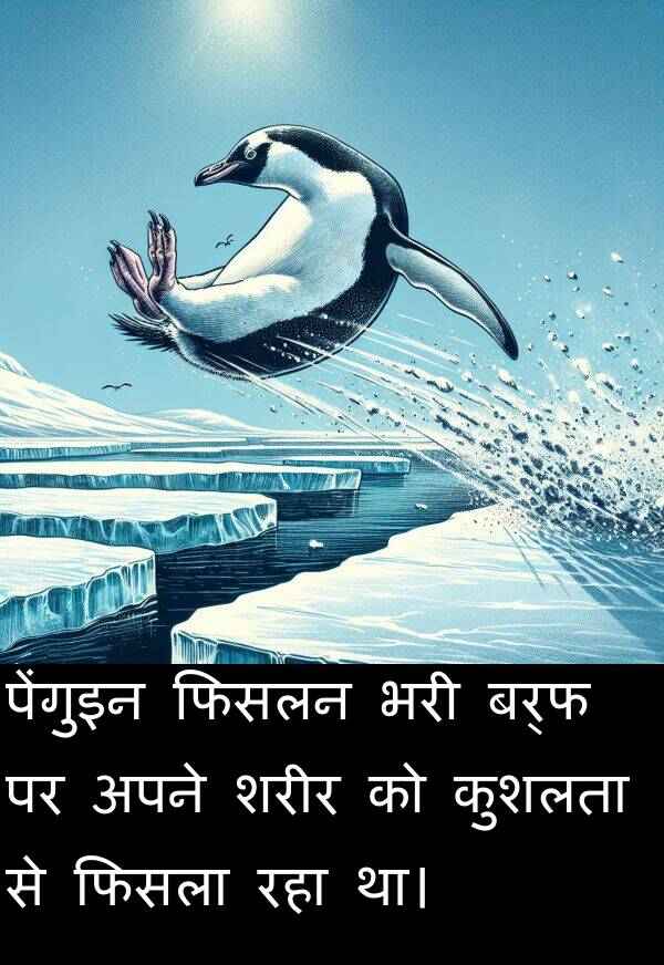 फिसला: पेंगुइन फिसलन भरी बर्फ पर अपने शरीर को कुशलता से फिसला रहा था।