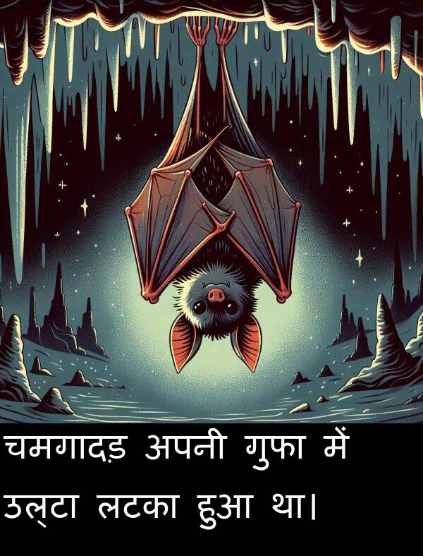 लटका: चमगादड़ अपनी गुफा में उल्टा लटका हुआ था।