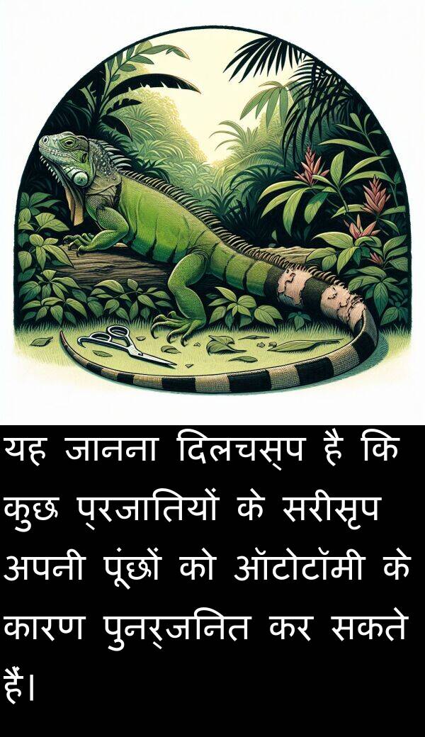 सरीसृप: यह जानना दिलचस्प है कि कुछ प्रजातियों के सरीसृप अपनी पूंछों को ऑटोटॉमी के कारण पुनर्जनित कर सकते हैं।