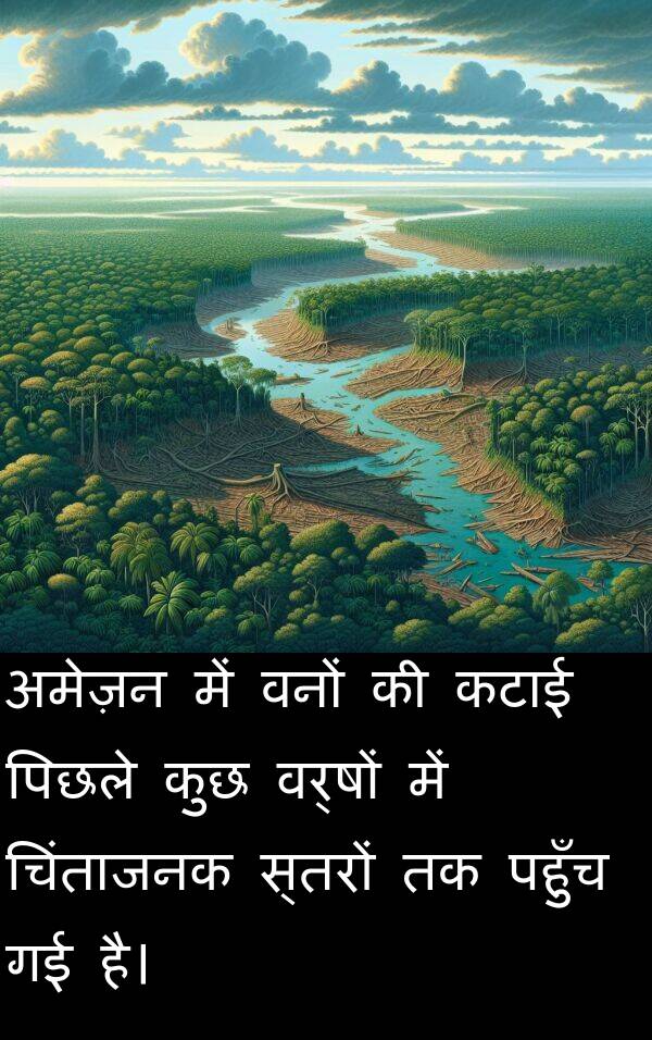 पहुँच: अमेज़न में वनों की कटाई पिछले कुछ वर्षों में चिंताजनक स्तरों तक पहुँच गई है।
