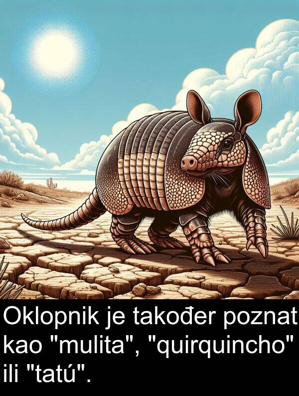 ili: Oklopnik je također poznat kao "mulita", "quirquincho" ili "tatú".