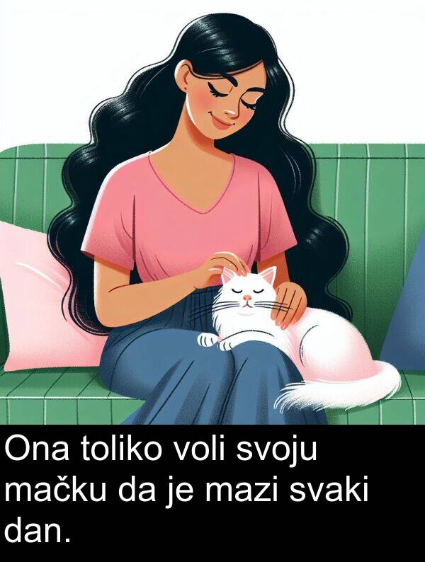 toliko: Ona toliko voli svoju mačku da je mazi svaki dan.