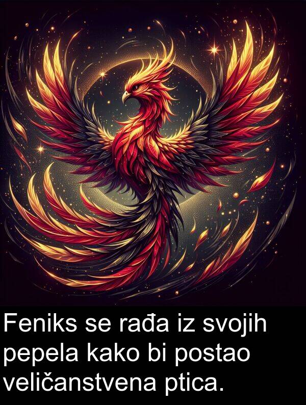 veličanstvena: Feniks se rađa iz svojih pepela kako bi postao veličanstvena ptica.