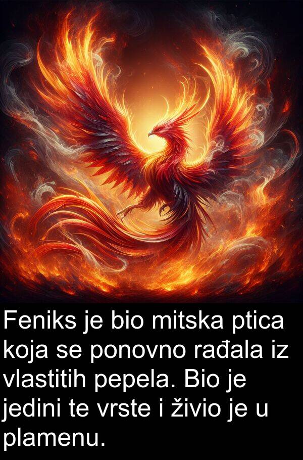 rađala: Feniks je bio mitska ptica koja se ponovno rađala iz vlastitih pepela. Bio je jedini te vrste i živio je u plamenu.