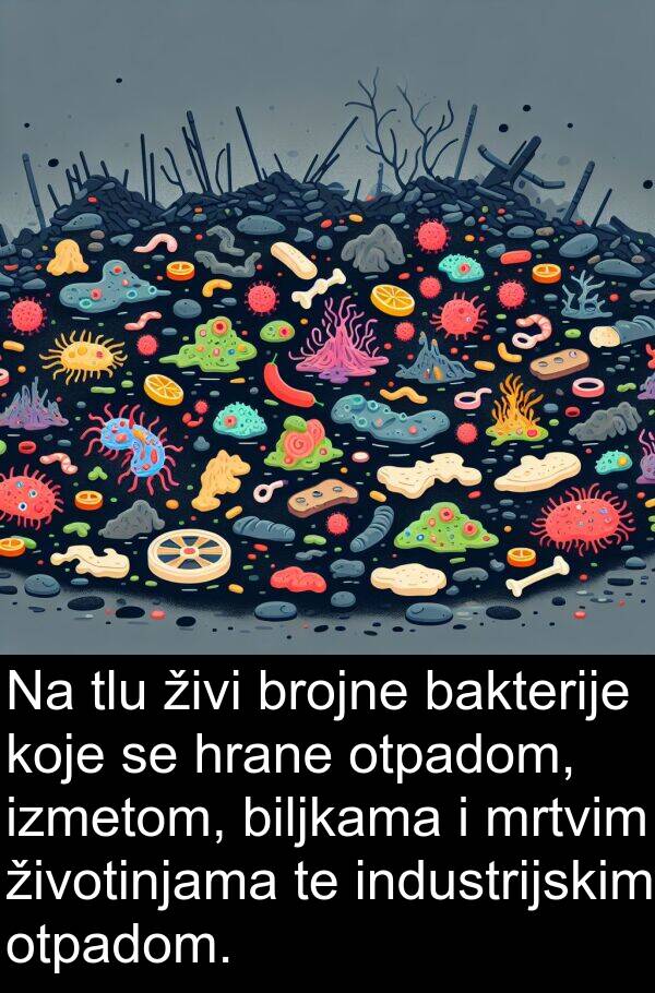 biljkama: Na tlu živi brojne bakterije koje se hrane otpadom, izmetom, biljkama i mrtvim životinjama te industrijskim otpadom.